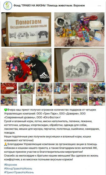 Теплый отзыв приюта "Право на жизнь" о нашей акции